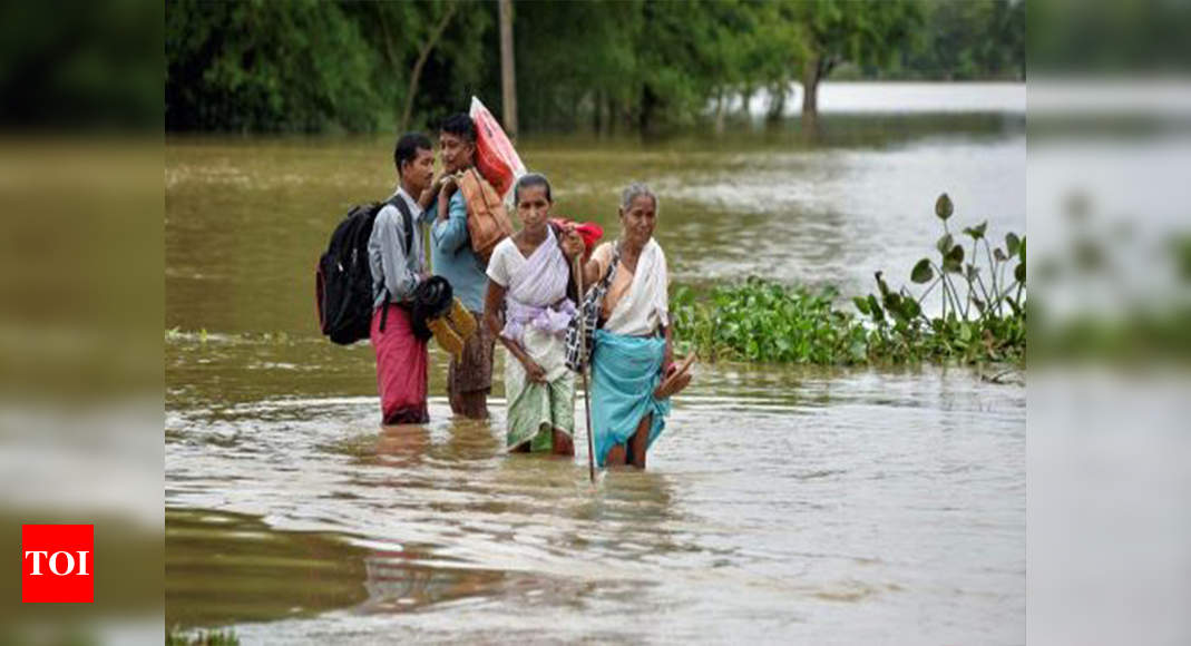 Assam Flood Images :: Photos, videos, logos, illustrations and branding ::  Behance