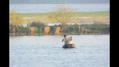 ‘Illegal fishing in Randarda, Lalpari lakes harming birds’