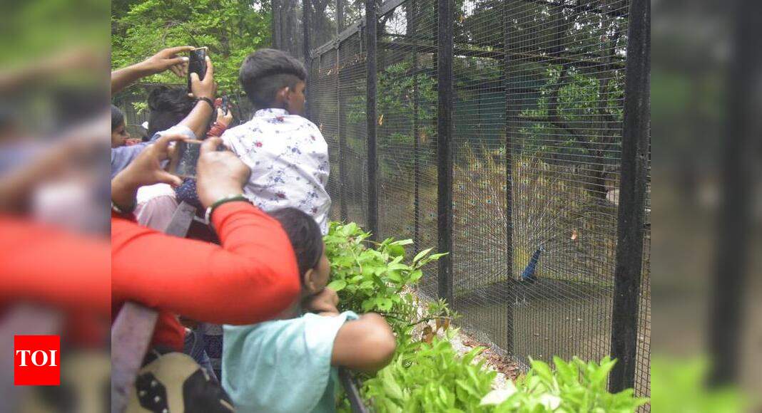 Maharashtra Zoo Authority proposes animal adoption scheme in state zoos