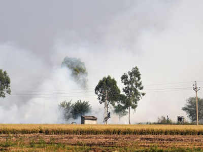 Carbon from stubble burning spreading to air in all parts of India: NASA scientist