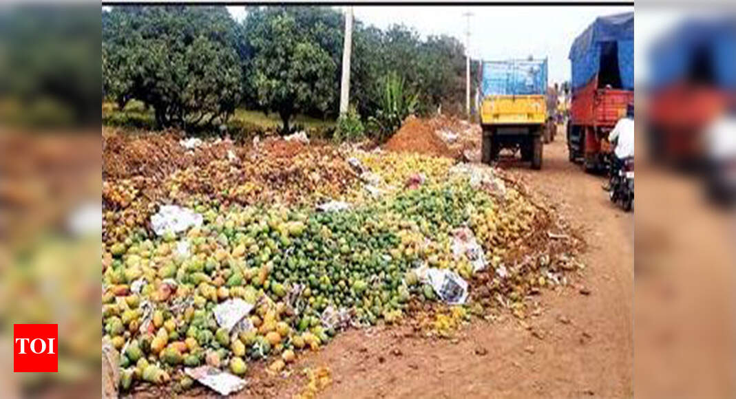 Highway dump Price dip brings mangoes to road Bengaluru News Times