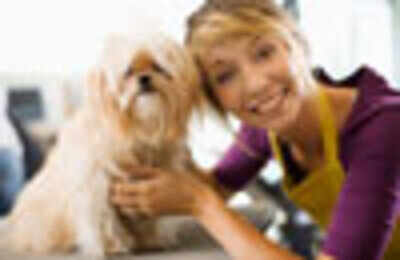 When it rains cats and dogs - Times of India