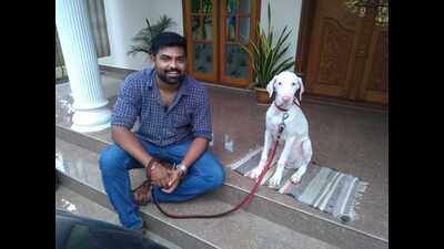 'I have never come across a breed as loving as the Rajapalayam'