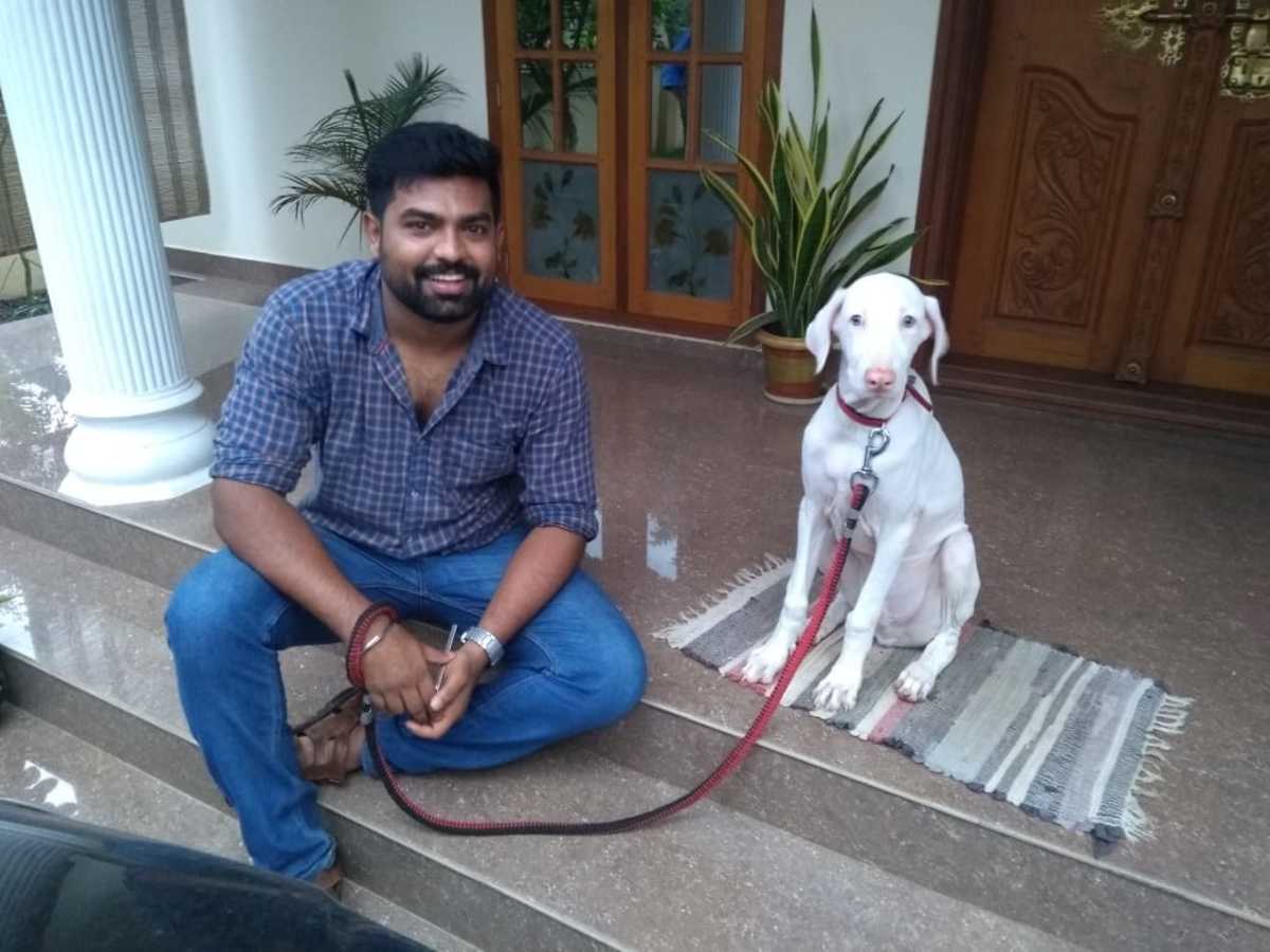 rajapalayam dog