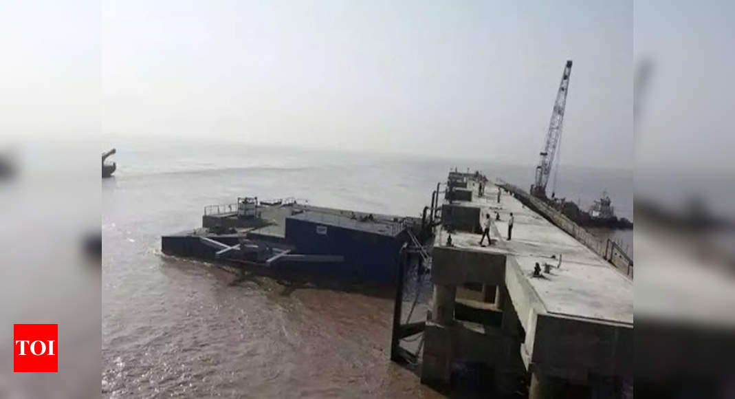 Unsafe cargo handling at ports polluting marine life | Rajkot News ...