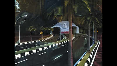 Green nod not required for national park tunnel: Centre