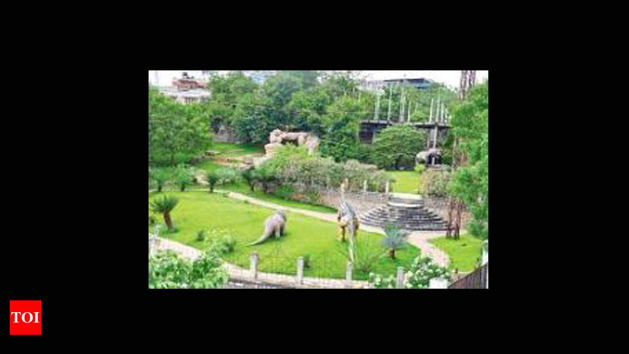 Dinosaur Park turning extinct? Court gives residents PIL hope | Hyderabad  News - Times of India