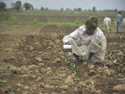 High Court Asks Vidc For Status Report Of Irrigation Projects