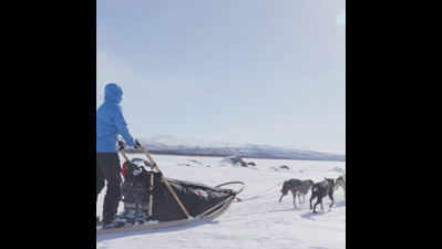 Niyog Krishna: Exploring the arctic on a sledge