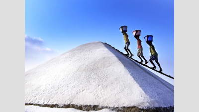 Salt shortage looms large as huge stock piles up in units