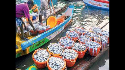 Rumours of formalin in fish hits trade