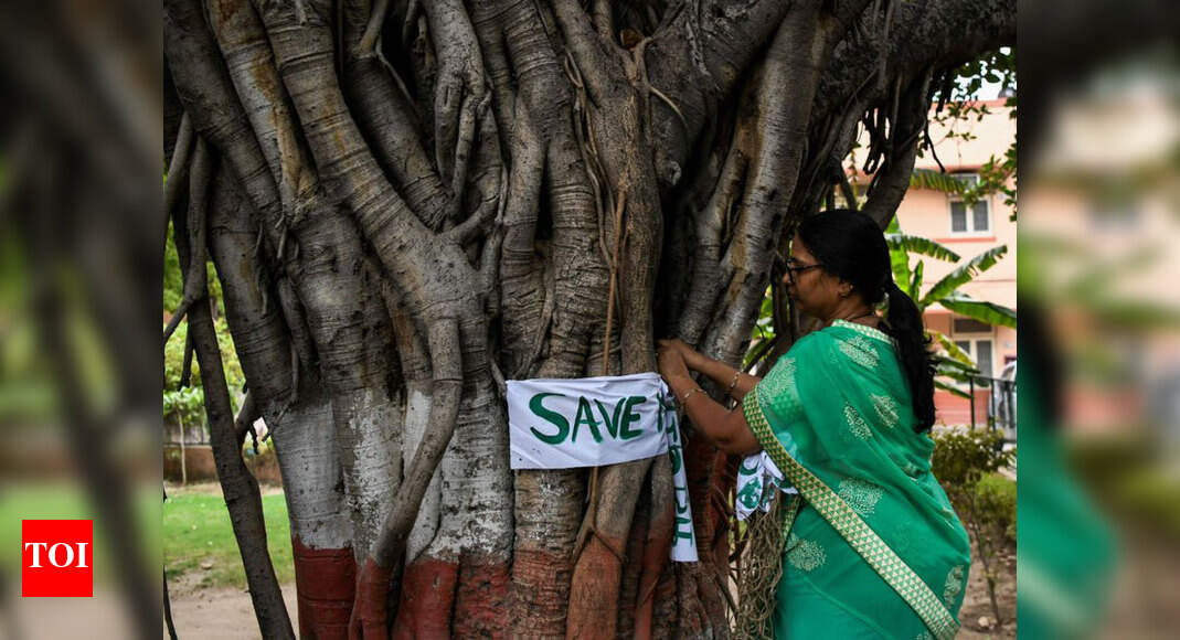 By going paperless, CBSE saves 50,000 trees and Rs 100 crore Delhi