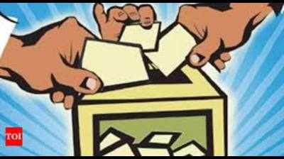 DMK opposes plan to hold simultaneous Lok Sabha, assembly polls