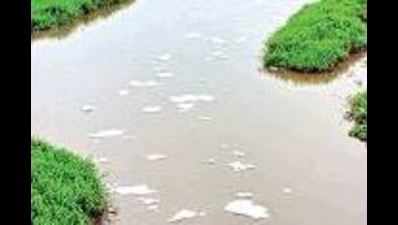 2 Hyderabad water bodies froth up, residents complain of odour
