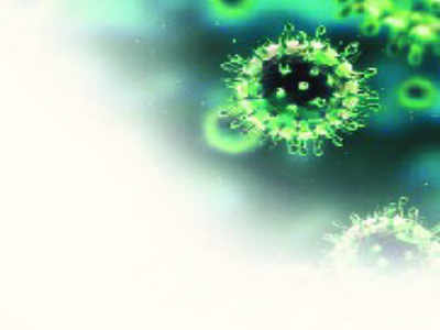 Fear of Chandipura virus looms large