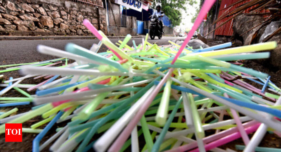 Why the world is at war with plastic straws Times of India