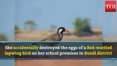 Rajasthan: 5-yr-old banned from entering house after she damaged eggs of a bird