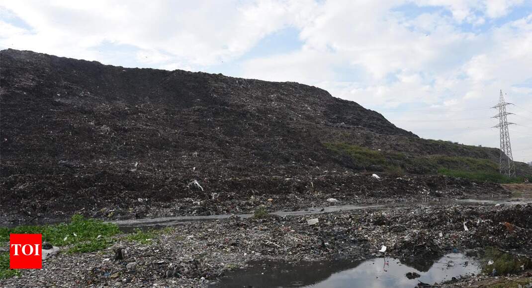 SC says Delhi under 'mountains of garbage', slams LG for inaction - Times of India