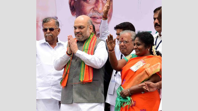 BJP TN Mission 2019: Party leaders to tour all Lok Sabha constituencies in state