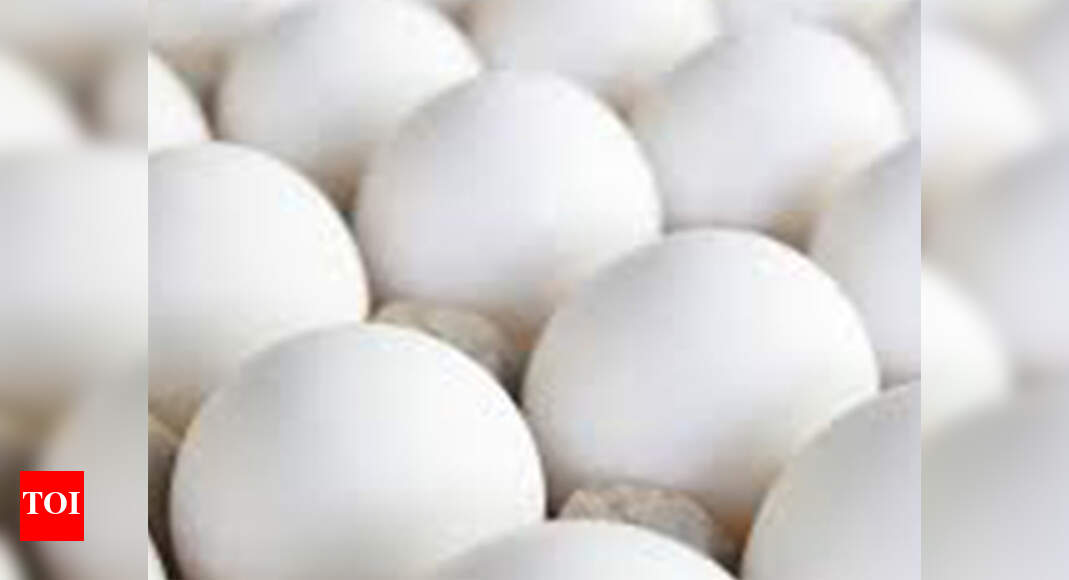Egg Deal Something’s rotten in Tamil Nadu’s egg deal Chennai News