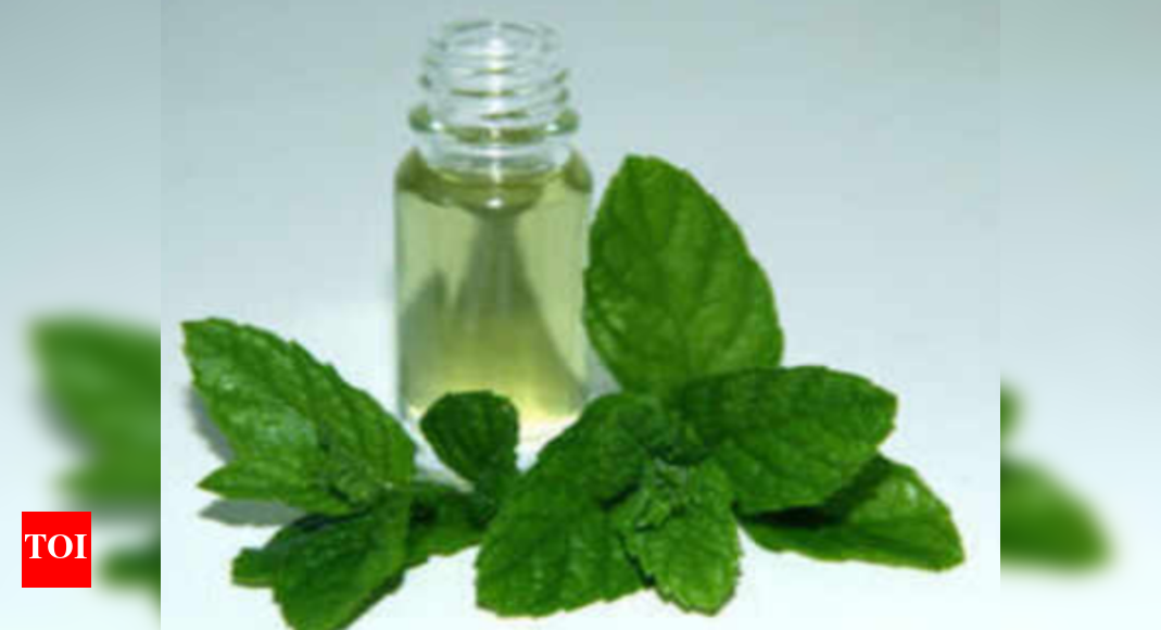 Mentha Oil rate Mentha oil futures gain 1.82 per cent on