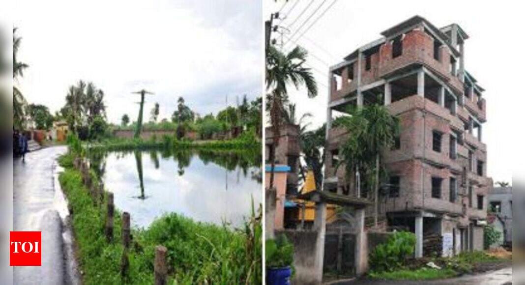 3,000 houses on encroached Jadavpur wetlands Kolkata News Times of