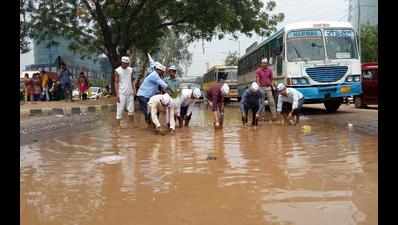 AAP, NGO plant paddy on waterlogged streets in protest