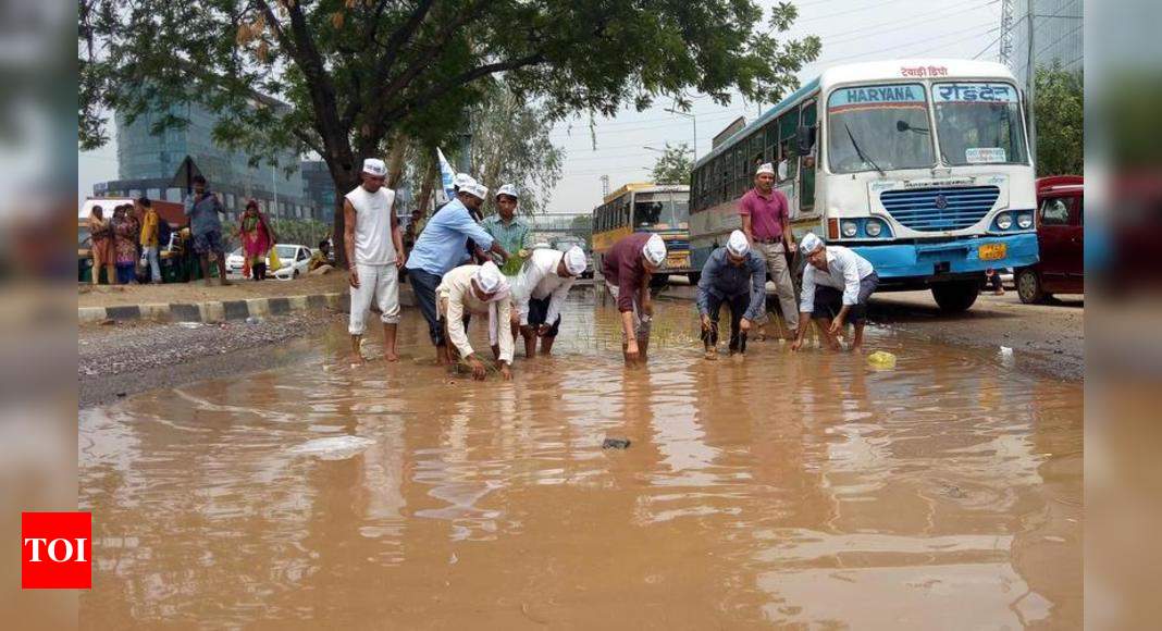 AAP, NGO plant paddy on waterlogged streets in protest | Gurgaon News ...