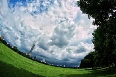 Fish eye view - Times of India