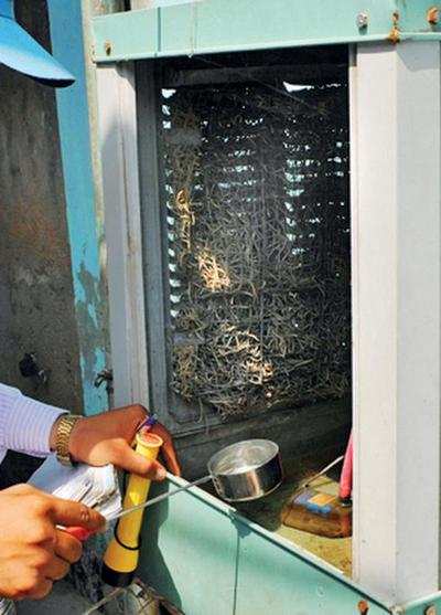 In a first, FIRs against 3 persons in Delhi for 'breeding mosquitoes'
