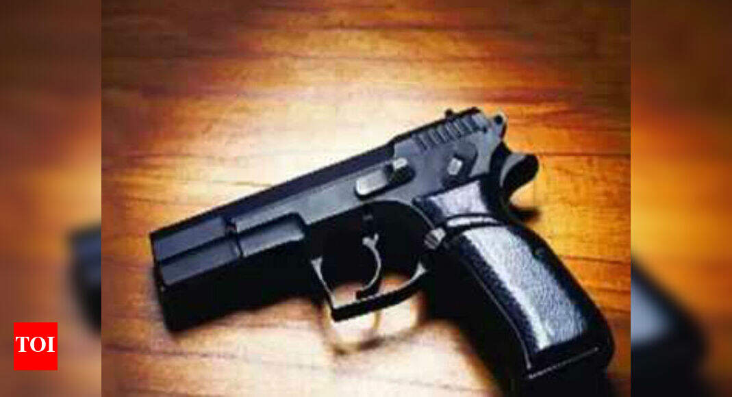 From April next year, national database for gun licence holders | India ...