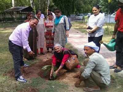 Plantation drive begins at Panjab University
