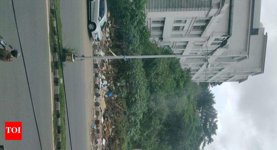 Garbage near DEVEGOWDA petrol bunk Times of India
