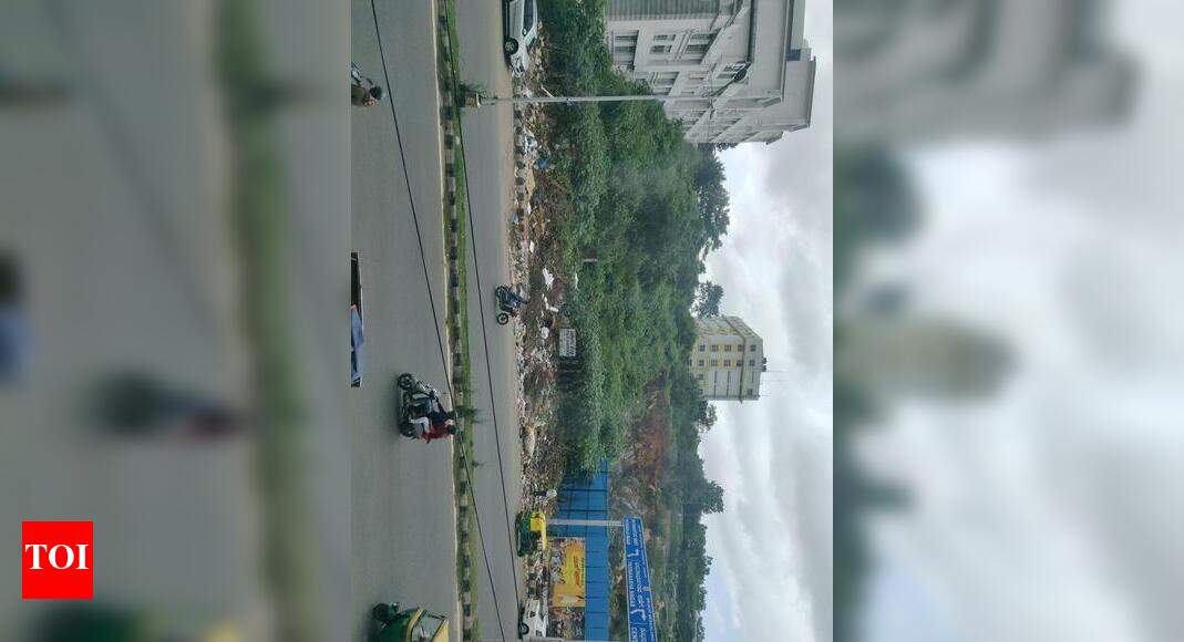 Garbage near DEVEGOWDA petrol bunk Times of India