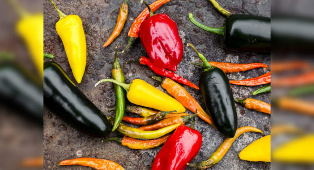 Study suggests drugs made from chili peppers could help in weight loss
