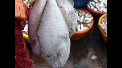 Formalin scare: Goa bans fish import from states for 15 days