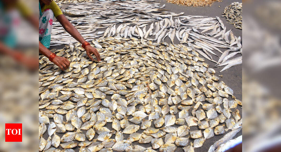 Formaldehyde 'Goa's fish exports free of formalin' Goa News Times