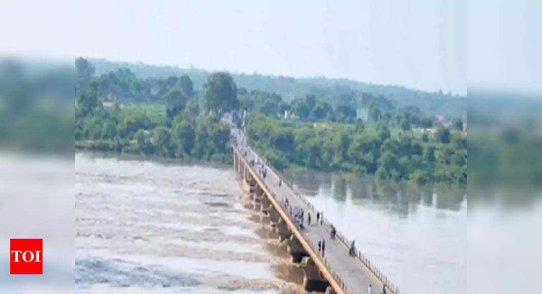 Kota: Activists worry over rising pollution of Chambal river | Jaipur ...