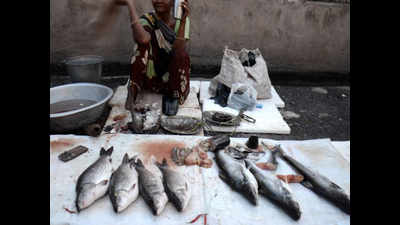 ‘No formalin threat to fish lovers in Bihar’