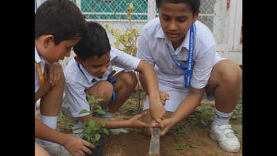 Gurgaon school students plant 500 saplings to celebrate Van Mahotsav