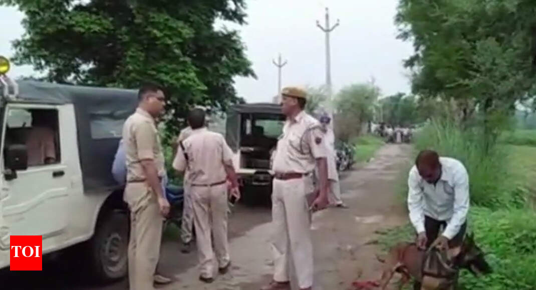 Rajasthan: Man beaten to death on suspicion of cow smuggling in Alwar Rajasthan: Man beaten to death on suspicion of cow smuggling in Alwar