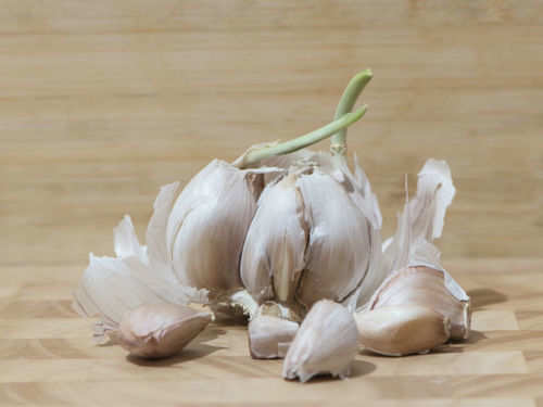 Is It Safe to Eat Sprouted Garlic?