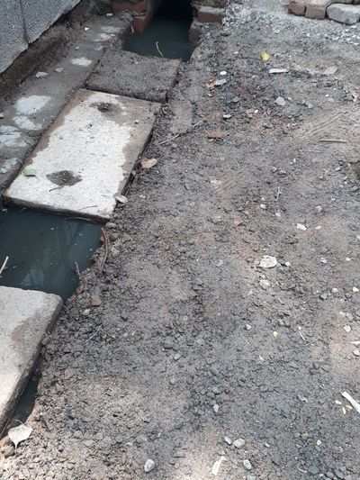 The dirty drain of JU block, Pitampura