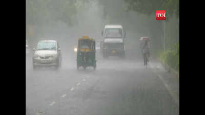 Delhi rains: Weather turns pleasant after downpour, showers expected to continue till July 25
