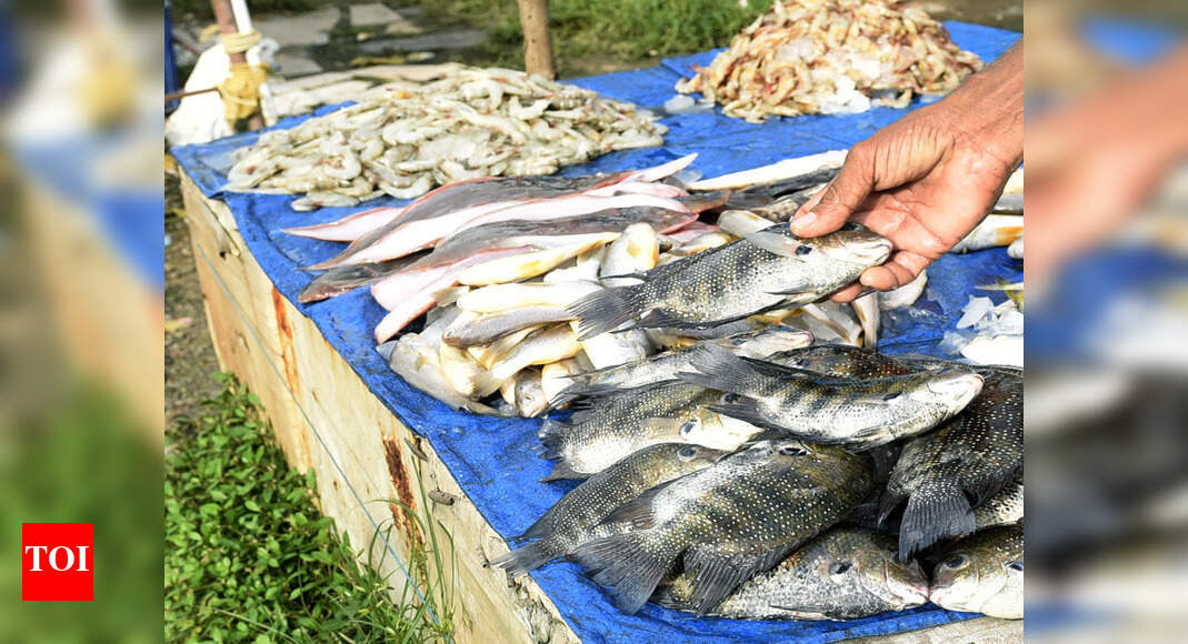 Fish Prices Fish prices soar as catch drops Kochi News Times of India