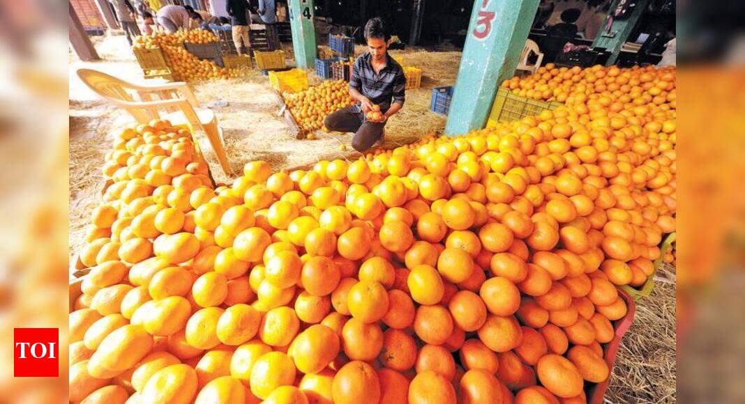 Govt must regulate orange prices Report Nagpur News Times of India