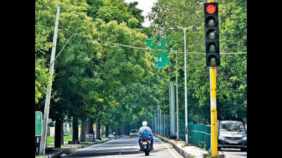 Overgrown trees pose a threat to Mohali residents