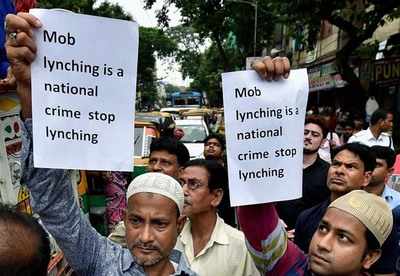 Lynching in the name of cow could lead to another partition: PDP MP Muzaffar Hussain Baig