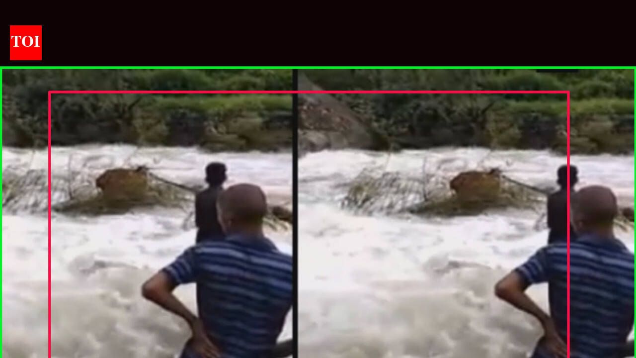Watch: Villagers rescue cow from flooded river