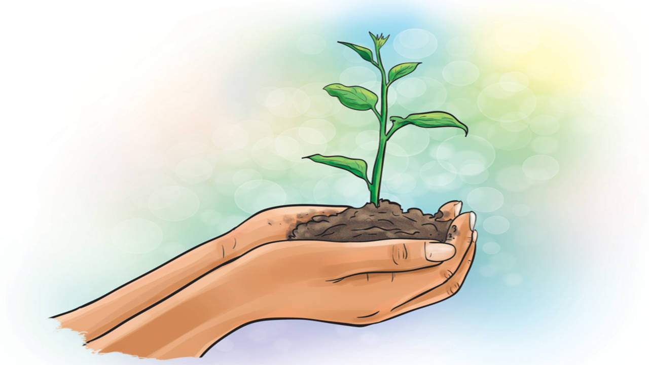 Planting Trees Saves The EARTH | Save earth, Save tree save earth, Save  earth posters